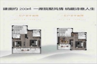 建面约200㎡户型