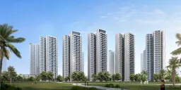 ��������ɽ����(���ӷ� )