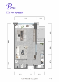 天玺荟建面57.00㎡