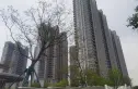 城投南山长投·领峯别墅实景图