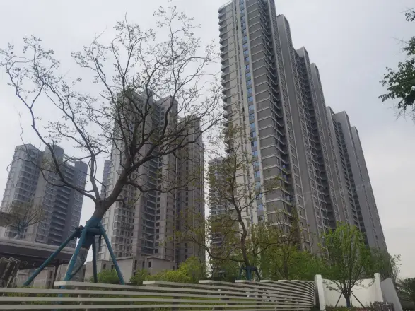 城投南山长投·领峯别墅实景图