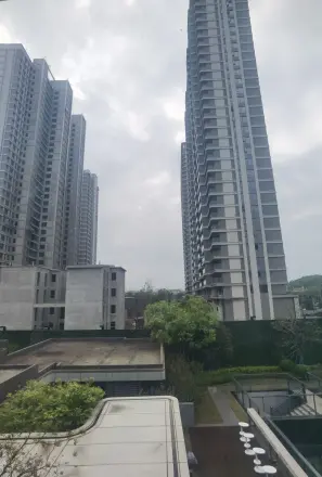 城投南山长投·领峯别墅实景图