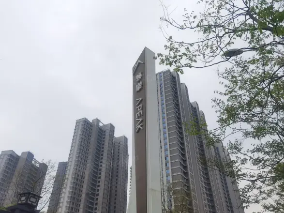 城投南山长投·领峯别墅实景图