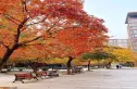诚品建筑实景图