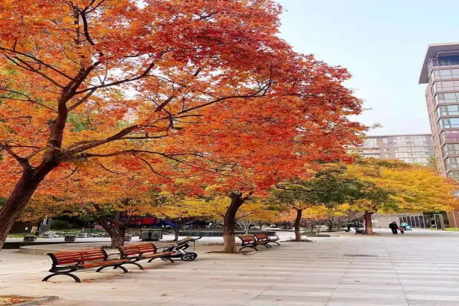 诚品建筑实景图