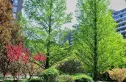 诚品建筑实景图