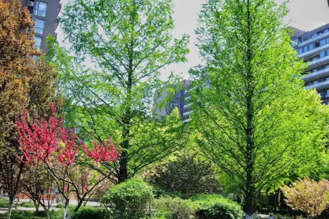 诚品建筑实景图