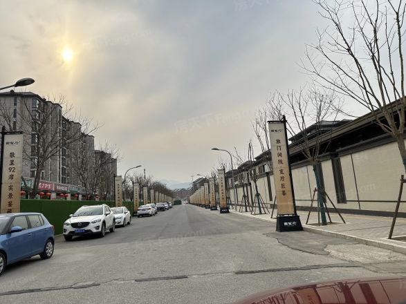 中建·国望府别墅实景图