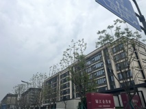 锦江金茂府在建工地