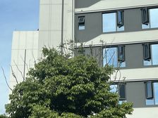 电建德商泷悦天玺3室2厅南北