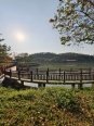 莲湖湿地公园实景图