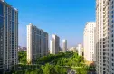 京贸国际公馆实景图