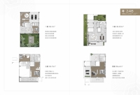 别墅248㎡户型