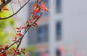 朝阳壹号实景图