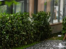 朝阳壹号3室2厅南北