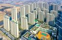 金悦学府实景图