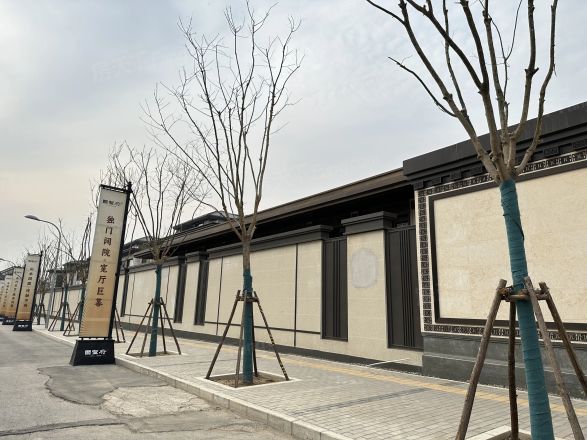 中建·国望府别墅实景图