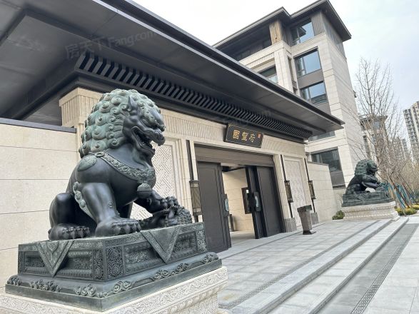 中建·国望府别墅实景图