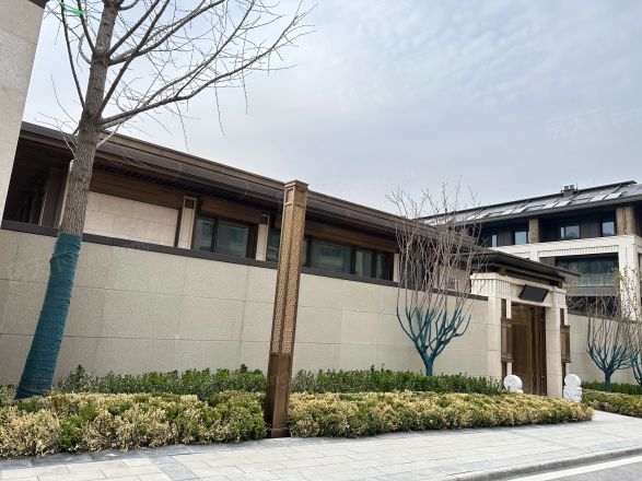 中建·国望府别墅实景图