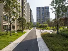 近临轻轨200米、临高铁、临三板溪、户型方正、总价低