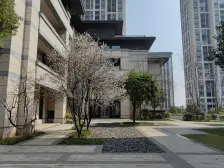 复盛 格力两江总部公园怡湖居三房65万