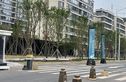 象屿光海实景图