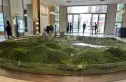 合生湖山国际实景图