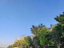 上海长滩4室南朝向910.00万元/套出售