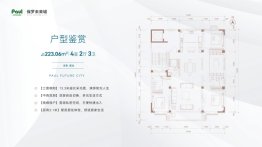 保罗未来城4室2厅1厨3卫建面223.00㎡