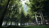效果图