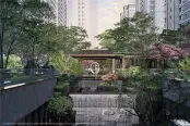 效果图