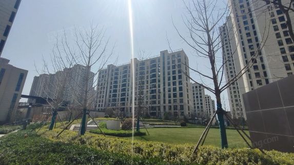大华·公园瑞府实景图曝光 全新视觉体验