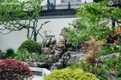 示范区实景图