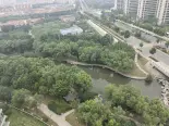 南侧逛荡河
