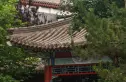 观唐云鼎住宅实景图