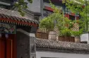 观唐云鼎住宅实景图