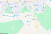 电子地图