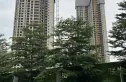 保利翔龙天汇实景图