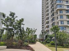 电梯房,大开间,品质小区,环境优美,精装修,诚意出售