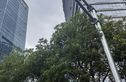 旭辉·铂悦湘江实景图