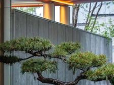 绿城沁园2室1厅东