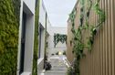 星尚·观澜世嘉实景图