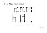 E1户型210平