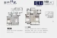 E1-169-423