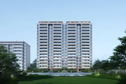 �ϳ�����