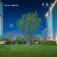 小区环境