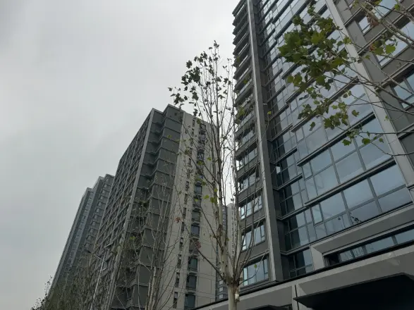 荣盛首府实景图
