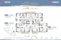 16幢户型平面图