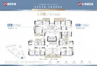 13幢户型平面图
