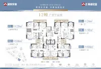 12幢户型平面图